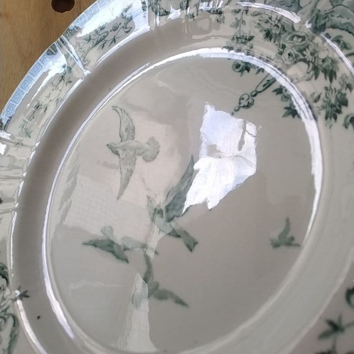 Tomo　ジアン　マリーアントワネット　ディナー皿