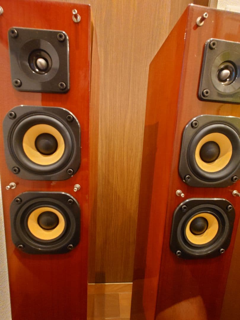 剥がれ　シミ　DENON デノン SC-T11XG トールボーイスピーカー