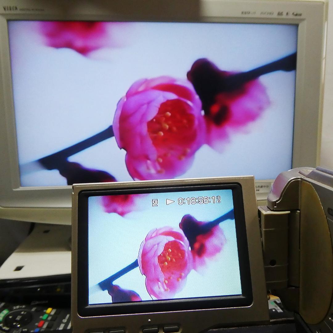 動作品ソニー DCR-TRV10 Mini DVビデオカメラDVDダビングに最適