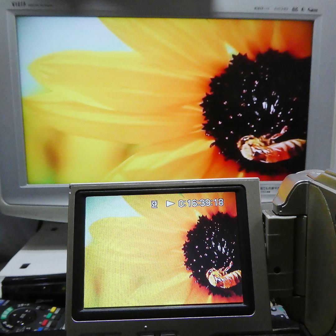 動作品ソニー DCR-TRV10 Mini DVビデオカメラDVDダビングに最適