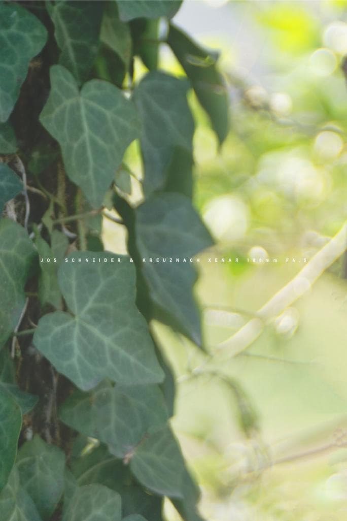 Schneider Kreuznach Xenar Ｆ4.5 M42改造