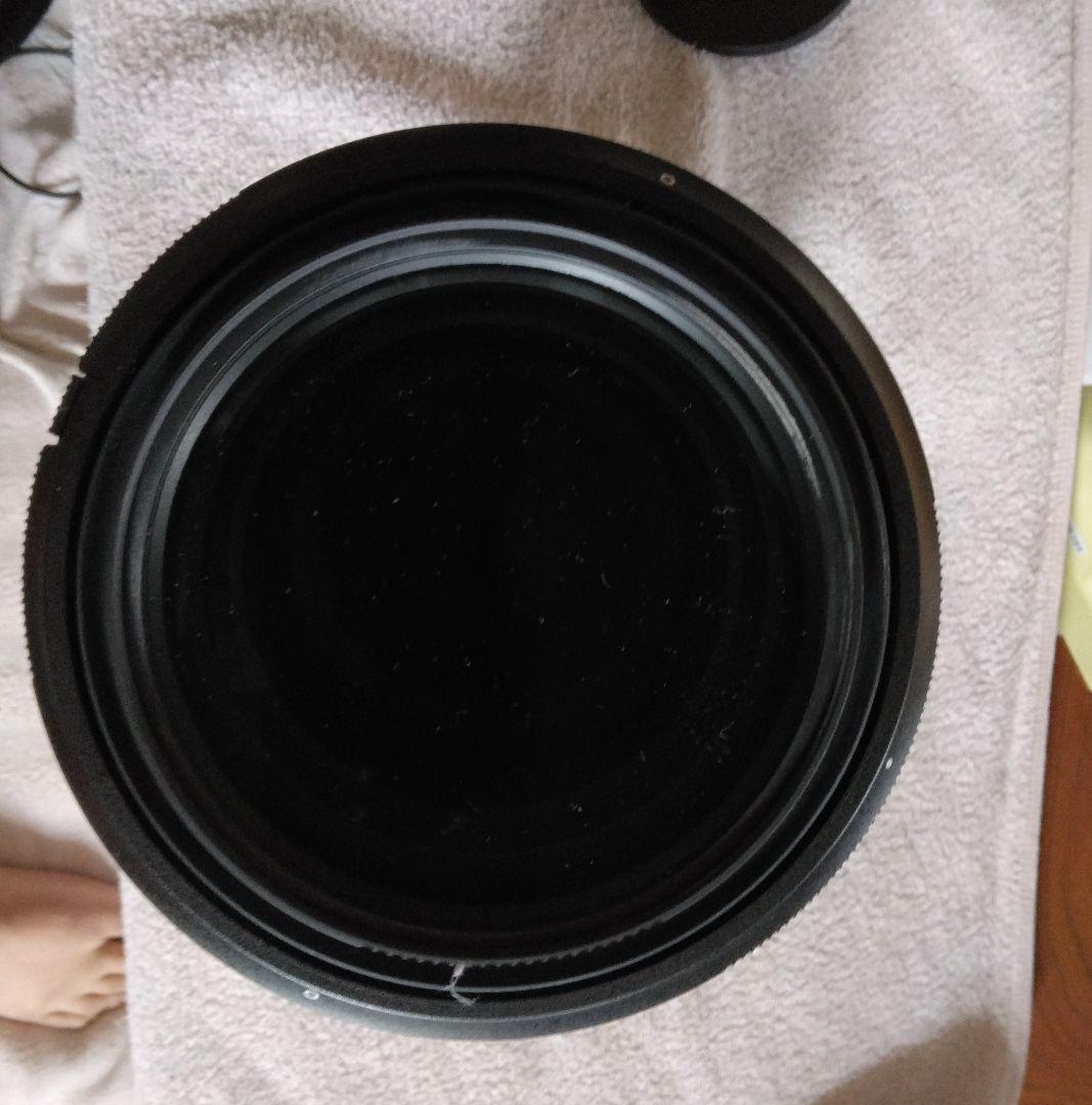 NIKKOR Z 180-600mm f/5.6-6.3 VRレンズ