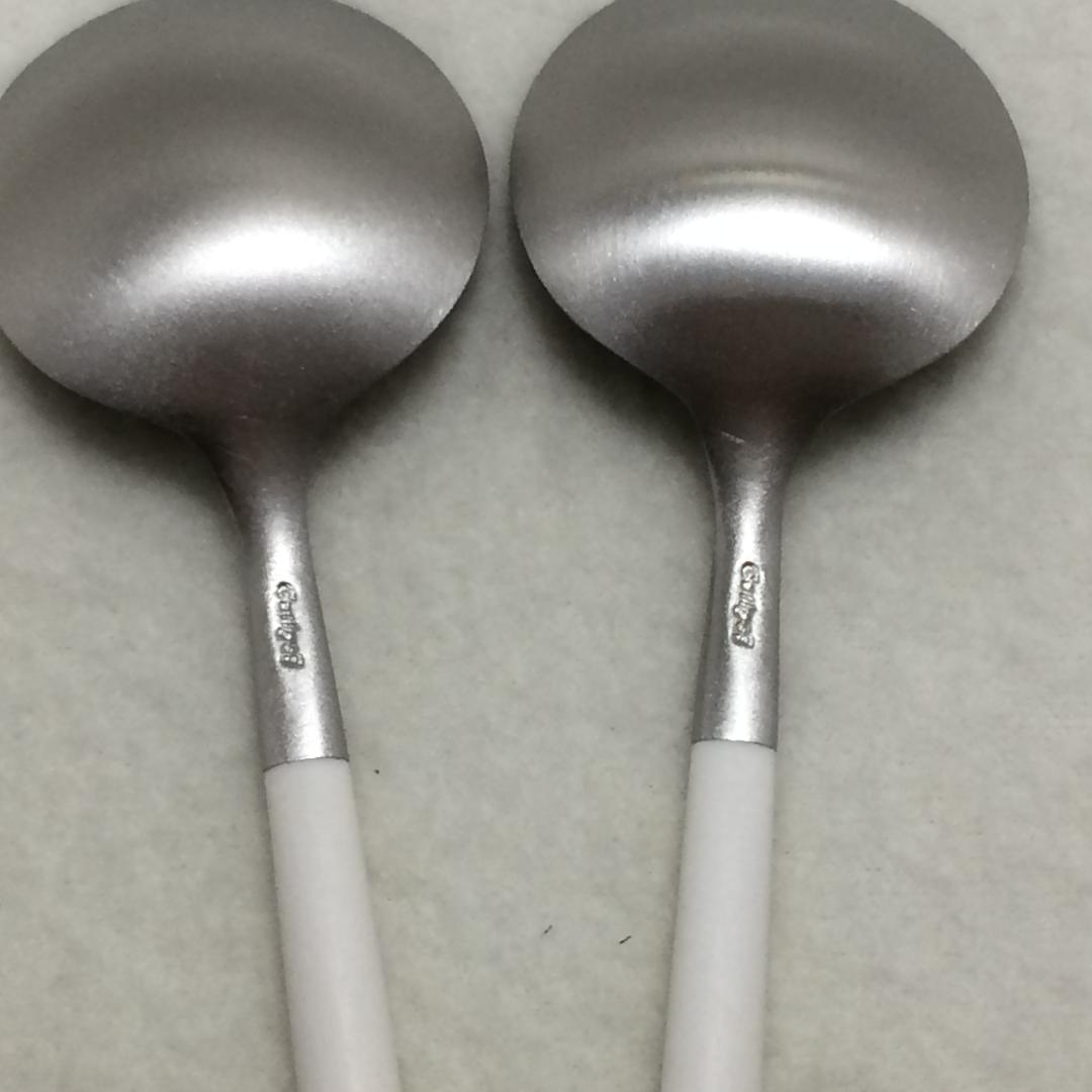 Erica5　クチポール　GOAホワイト＆シルバー　６種×各４本　計24本