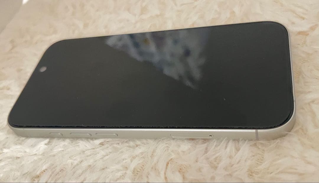 【29日以降発送】iPhone 16 256GB SIMフリー オマケ付き