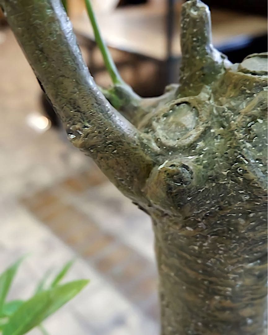 光触媒　人工観葉植物　ウォールグリーン　フェイクグリーン　造花　パキラ180