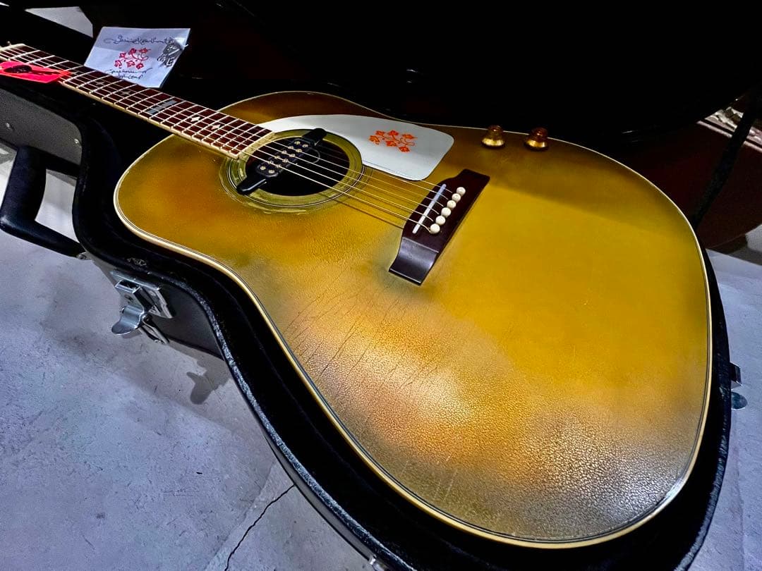 歩*鳥様 DeliciousTaylormade MOD エピフォンモディファイ