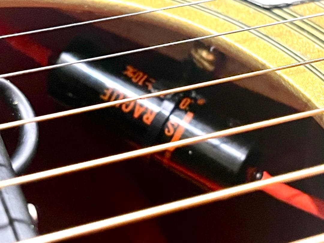 歩*鳥様 DeliciousTaylormade MOD エピフォンモディファイ