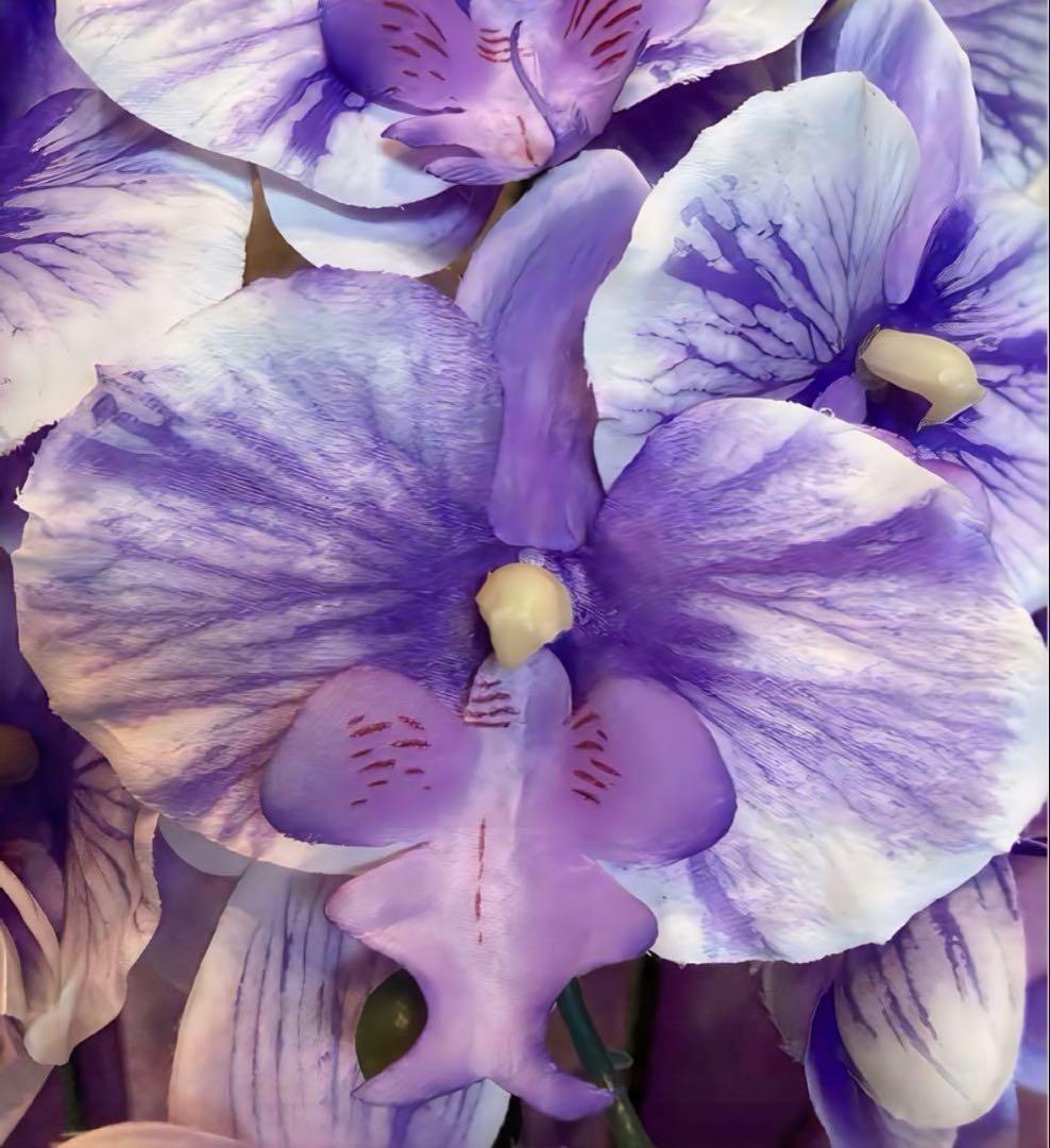 光触媒　人工観葉植物　ウォールグリーン　胡蝶蘭pu５本7645