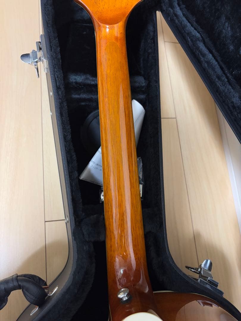 ポールリードスミスSE アンジェラス スタンダード ギター