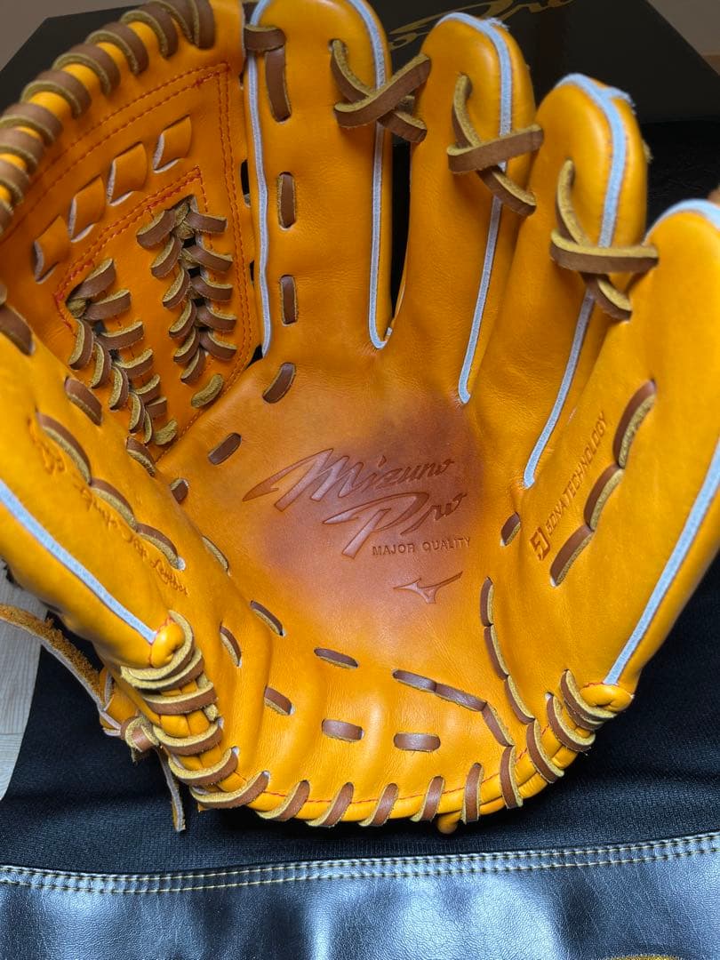 【なるなる】ミズノプロ　硬式用グラブ　サイズ10