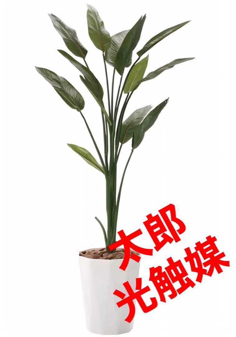 光触媒　人工観葉植物　ウォールグリーン　フェイクグリーン　ストレチア1.6m