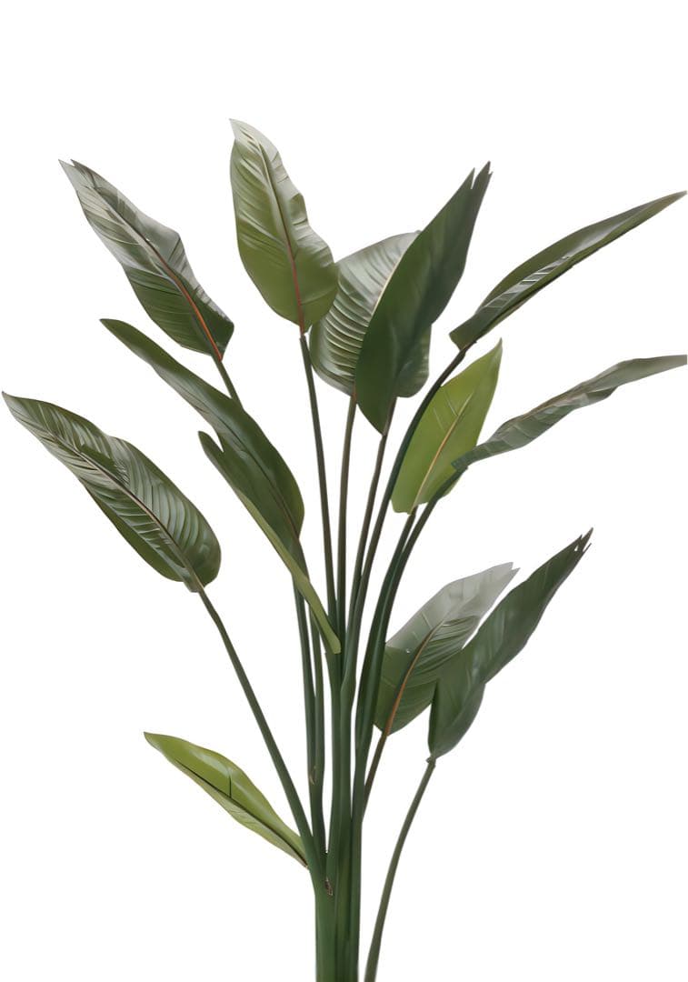 光触媒　人工観葉植物　ウォールグリーン　フェイクグリーン　ストレチア1.6m