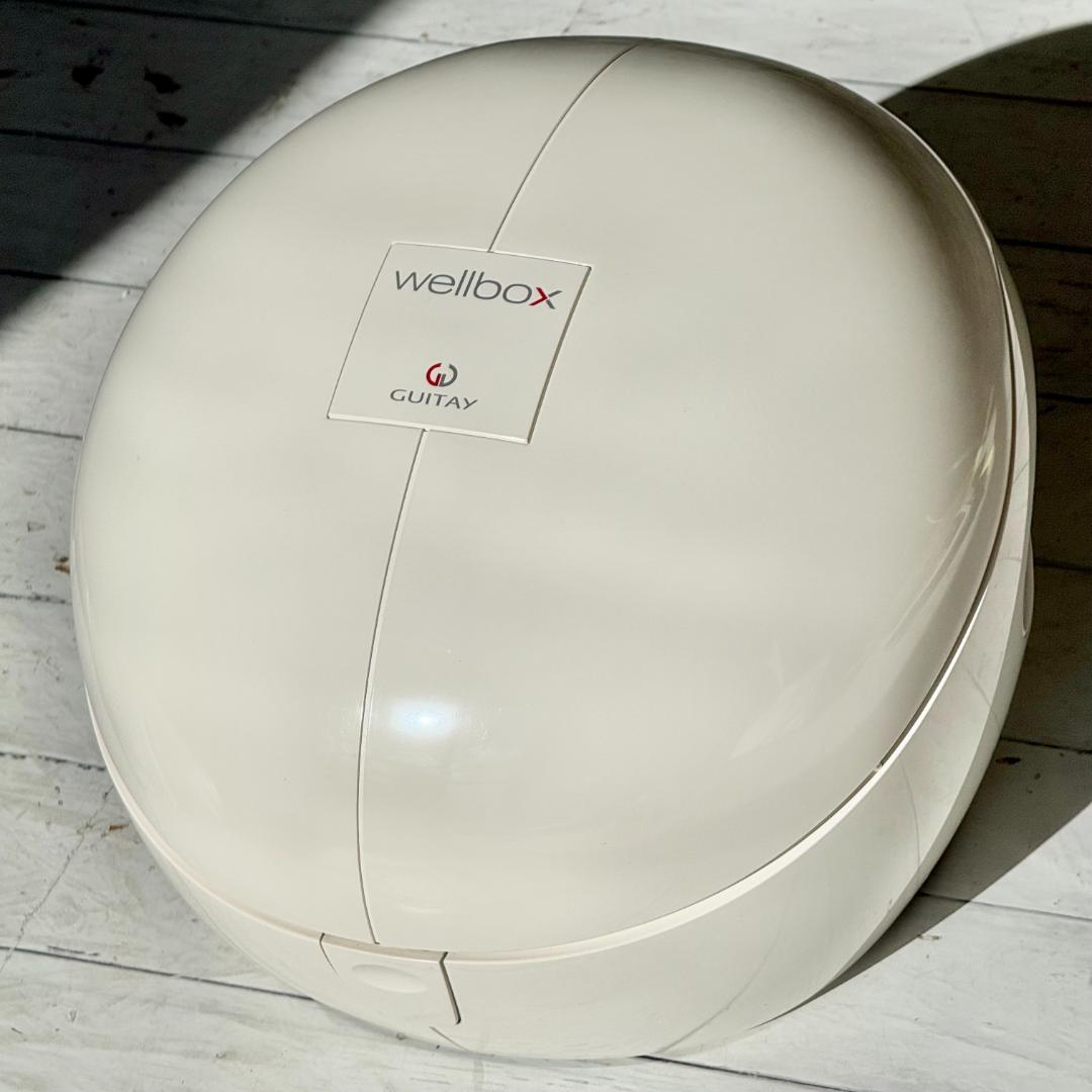 希少新品❗️GUITAY「Wellbox」家庭用エンダモロジー