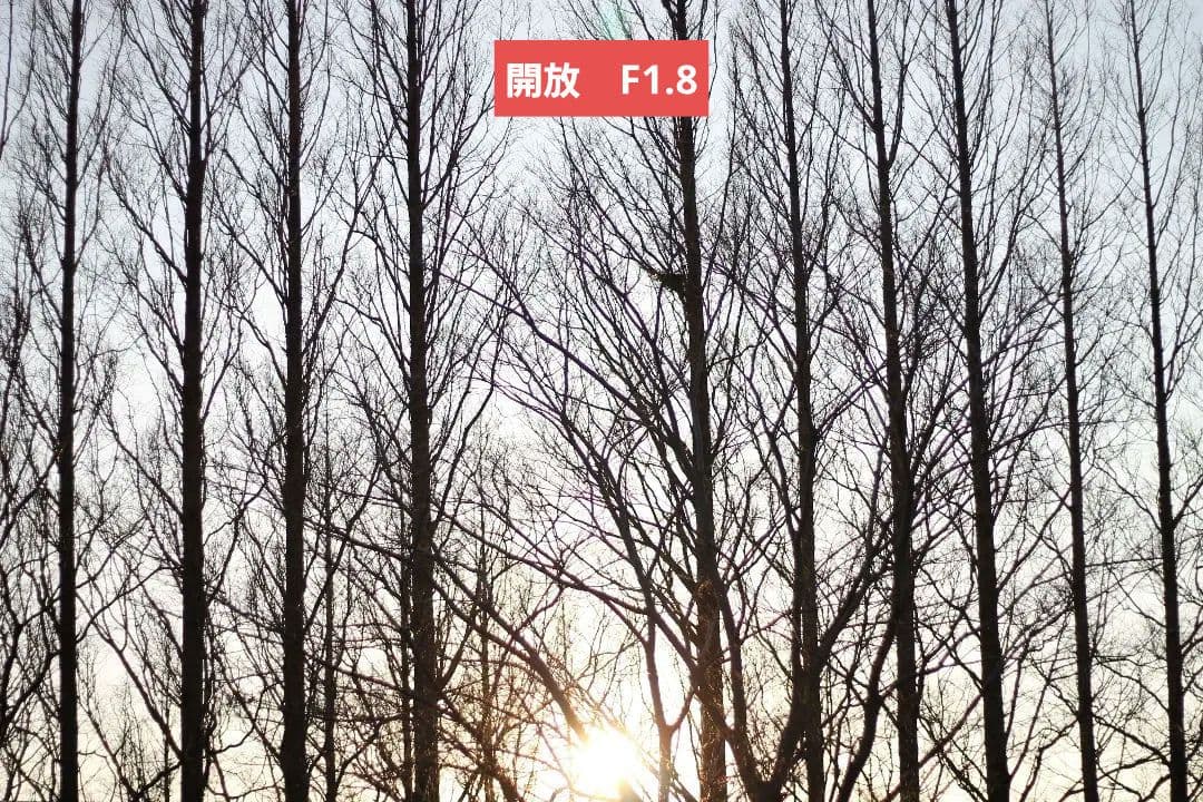 Canon EOS Kiss X50 レッド ef50mm f/1.8stm