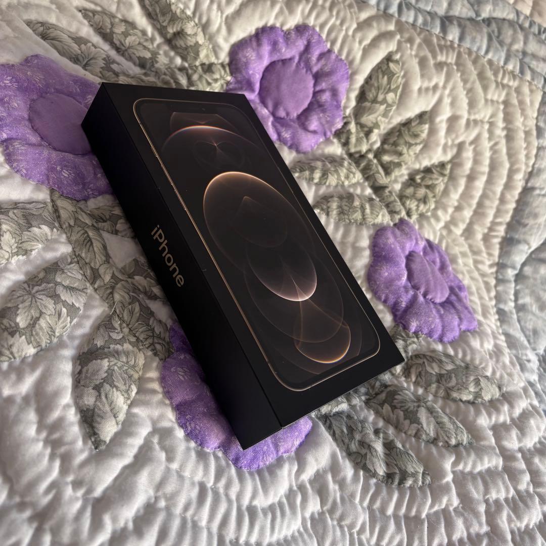 【超美品】iPhone 12 Pro Max 256GB simフリー箱付き