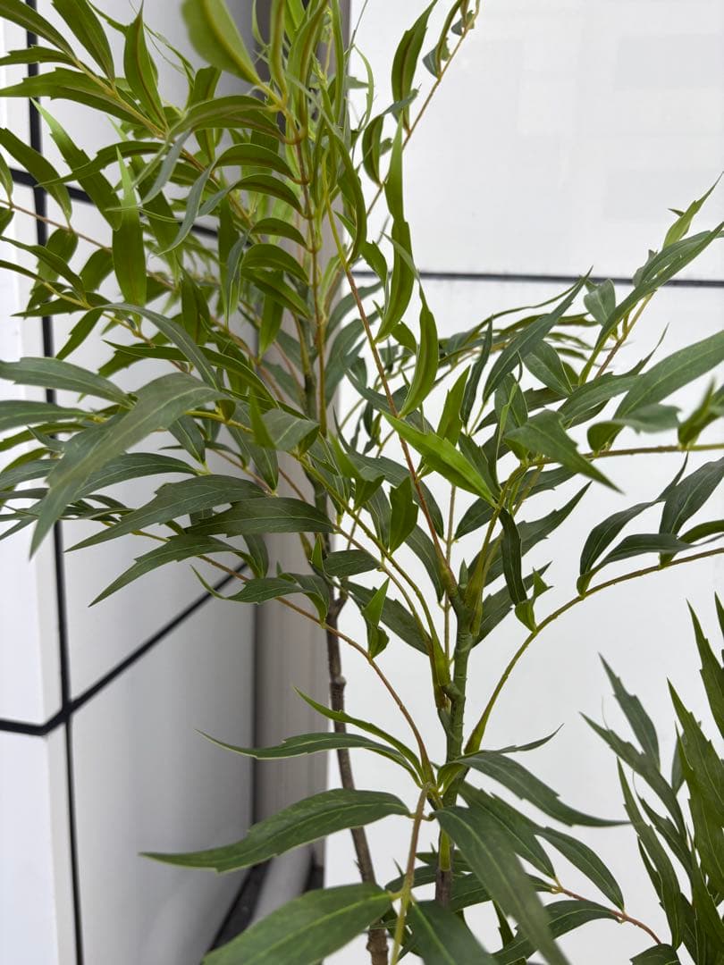 光触媒　人工観葉植物　ウォールグリーン　フェイクグリーン　マホニア180