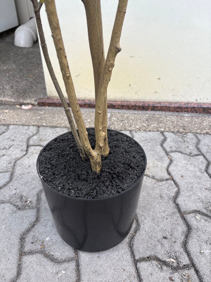 光触媒　人工観葉植物　ウォールグリーン　フェイクグリーン　マホニア180