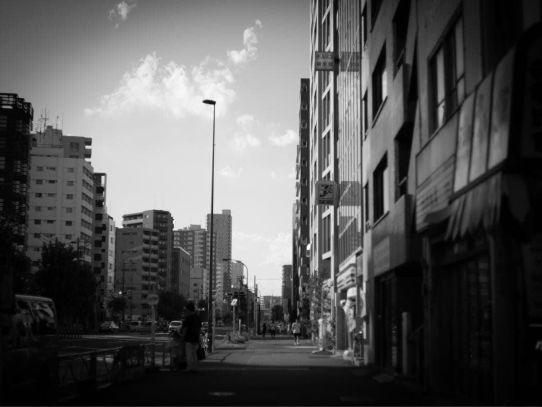 Leica Summicron-R 50mm f/2 2CAM ドイツ製