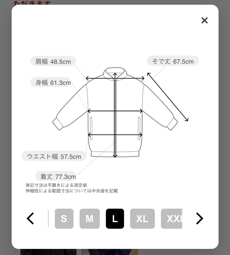 ARC'TERYX スコーミッシュフーディ L