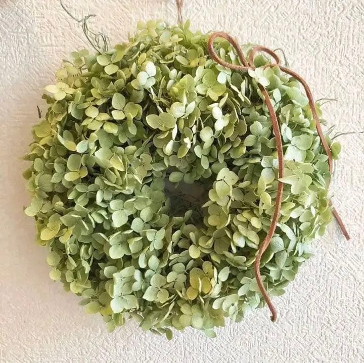 アナベル紫陽花リース