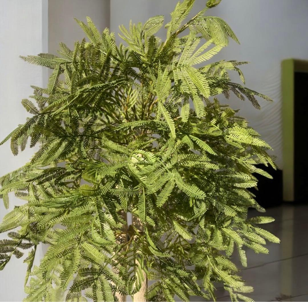 光触媒　人工観葉植物　ウォールグリーン　フェイクグリーン　エバーフレッシュ182