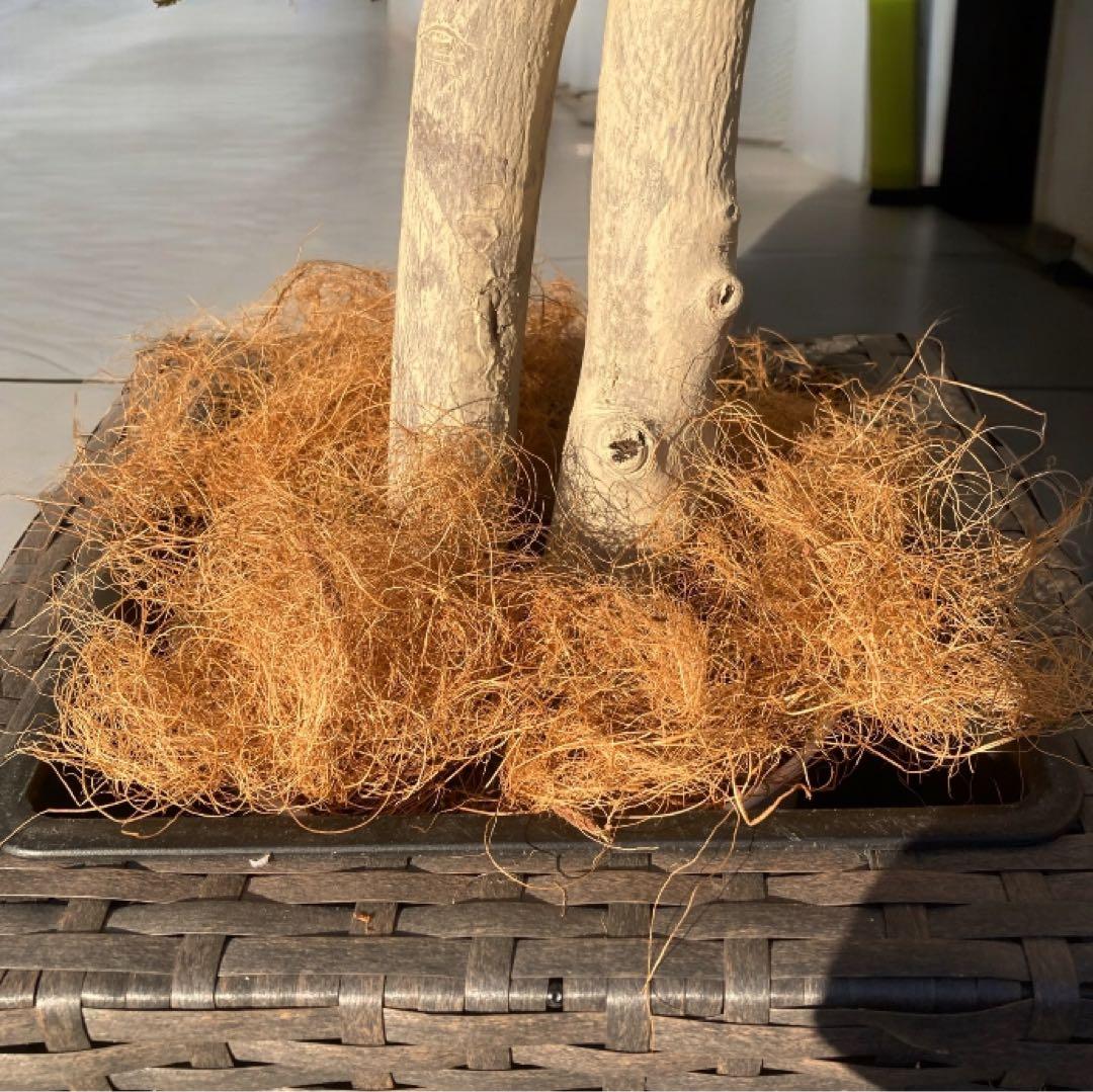 光触媒　人工観葉植物　ウォールグリーン　フェイクグリーン　エバーフレッシュ182