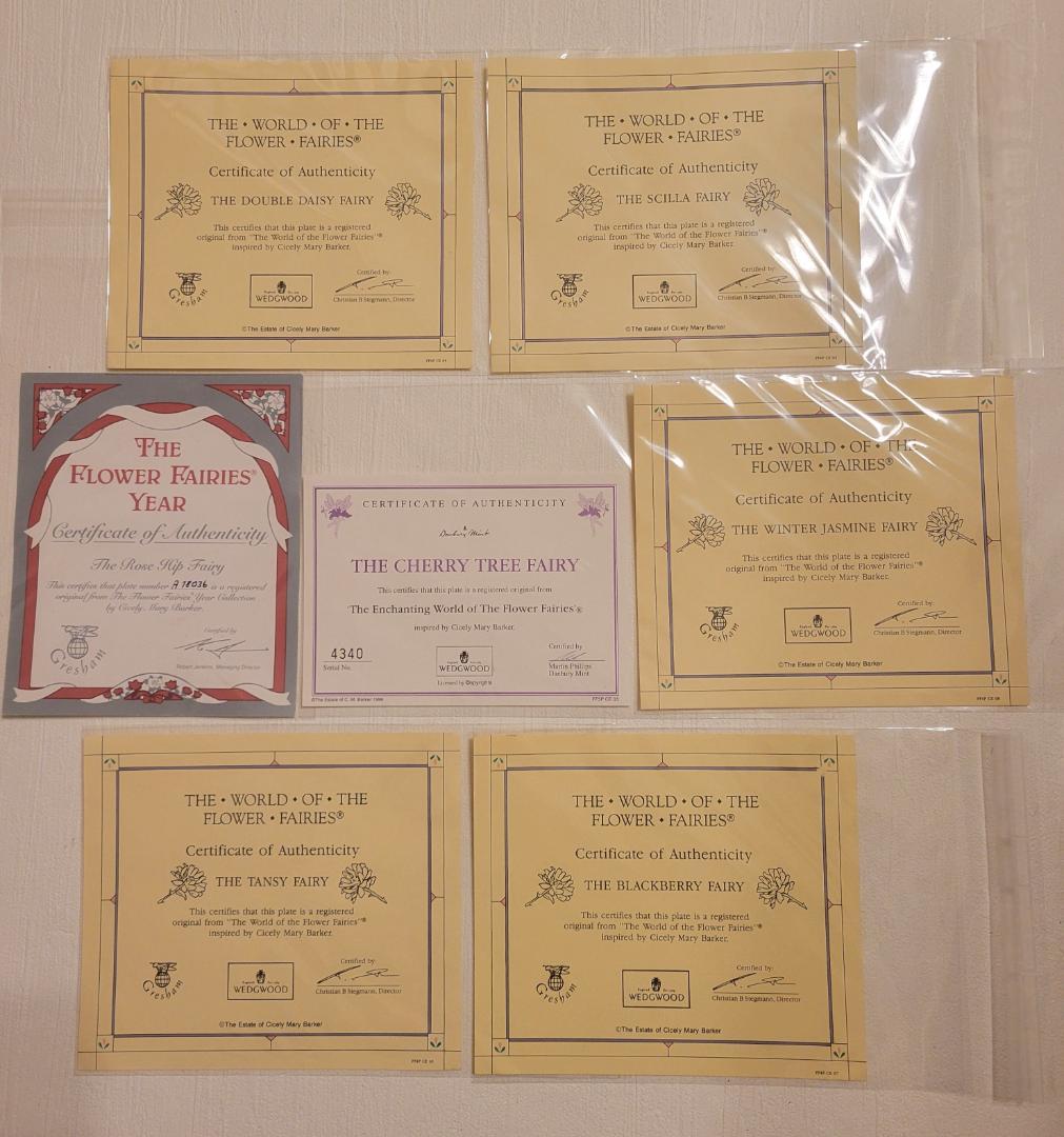 シシリー メアリー バーカー フラワーフェアリーズ 約20㎝絵皿 7枚