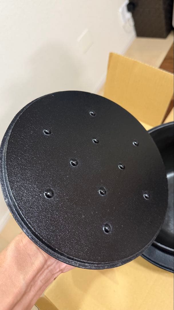 岩鋳 ごはん鍋 5合炊 南部鉄器 未使用品