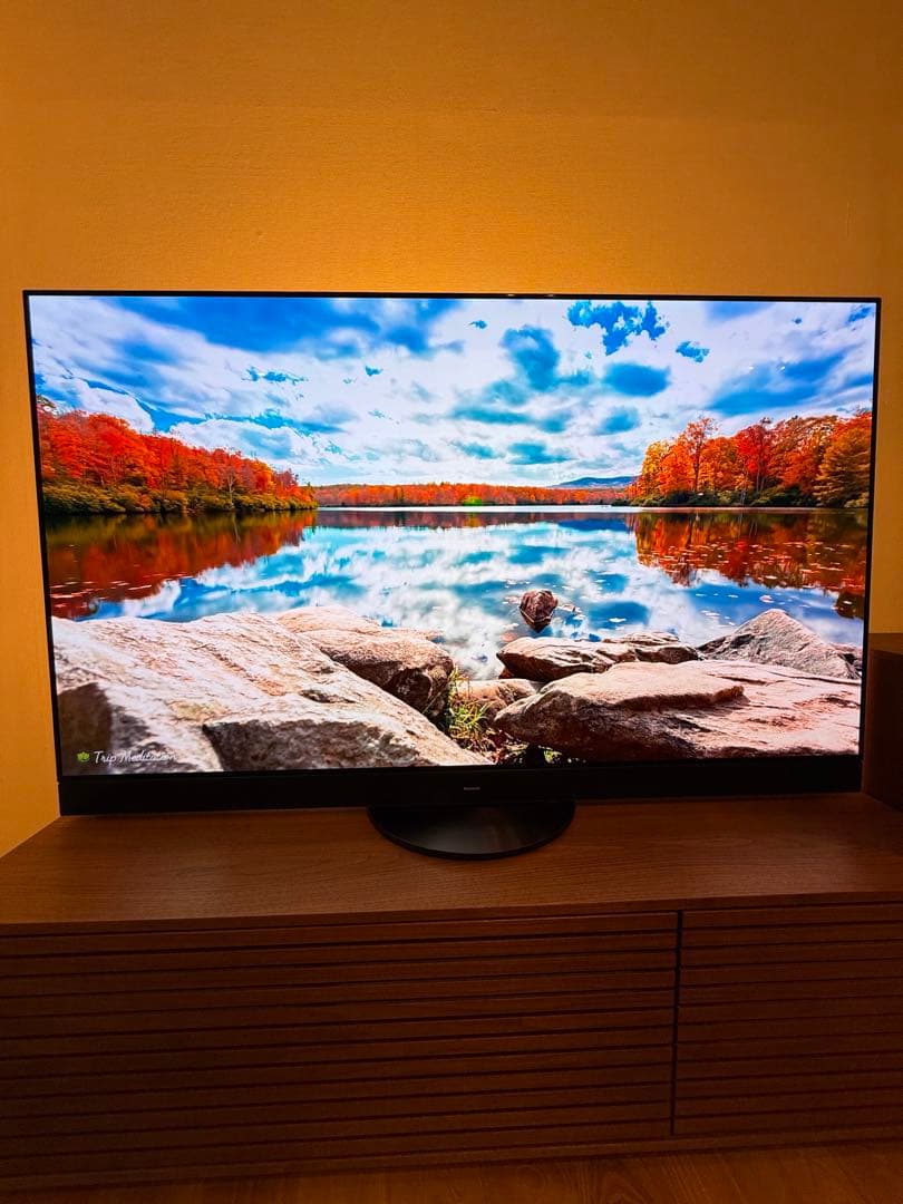 【らんまる様】Panasonic 2024年製 55型 TH-55MZ2500