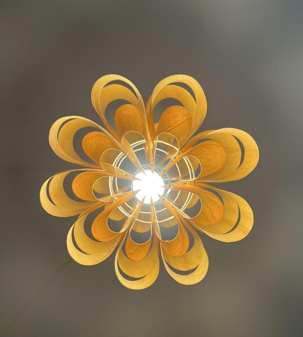 谷俊幸 DON-WOOD 照明