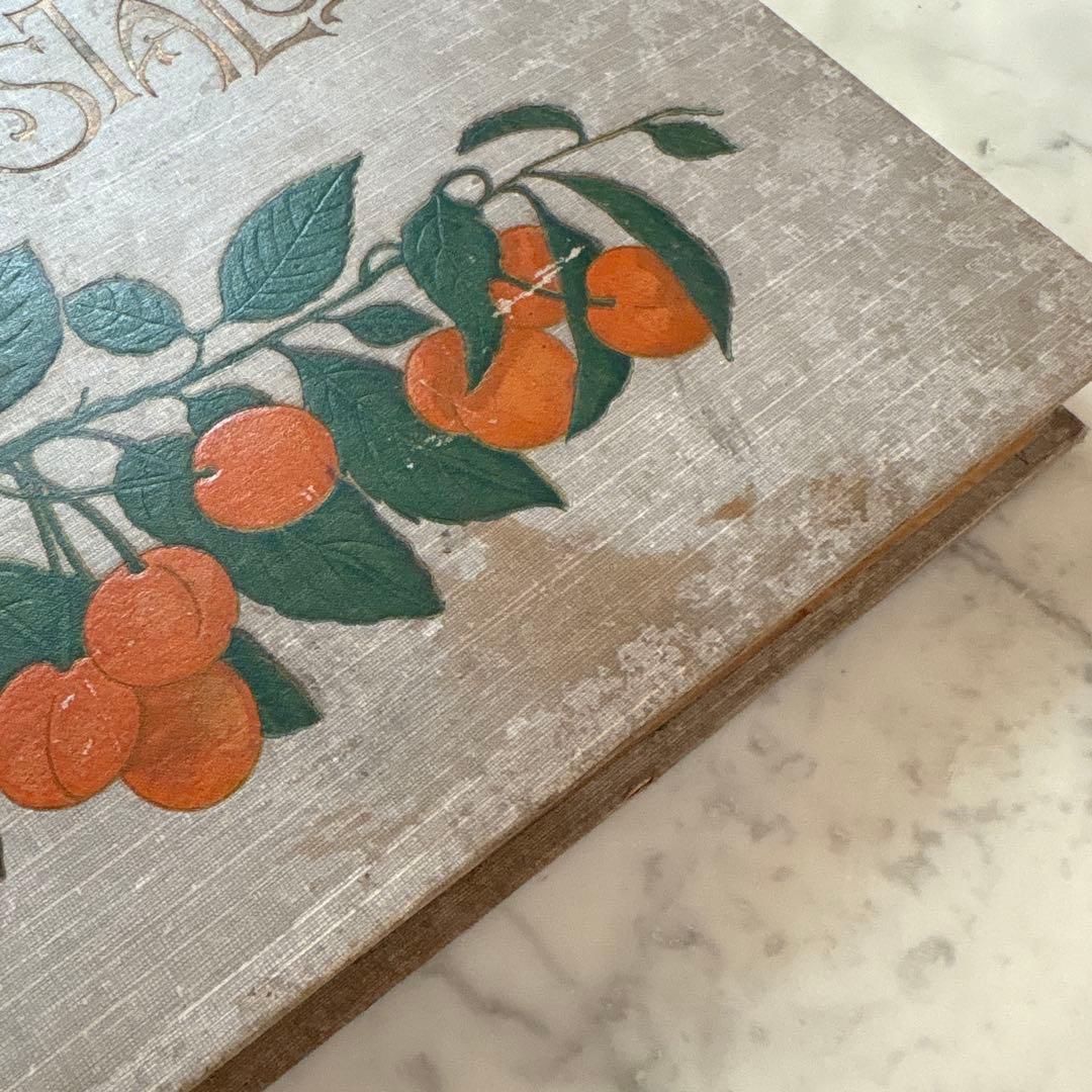 フランス　アンティーク　ポストカード　アルバム　CARTES POSTALES