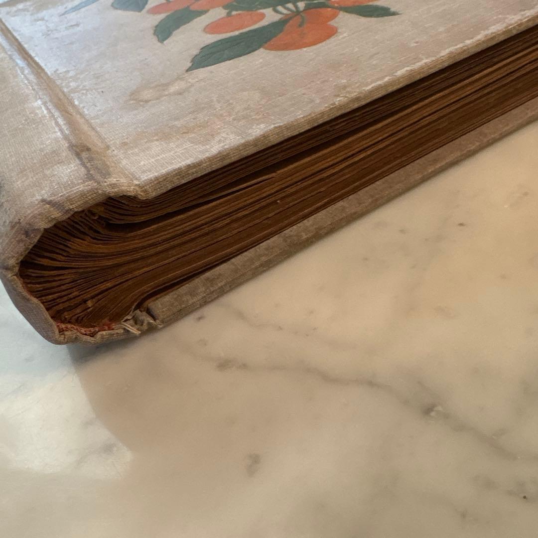 フランス　アンティーク　ポストカード　アルバム　CARTES POSTALES