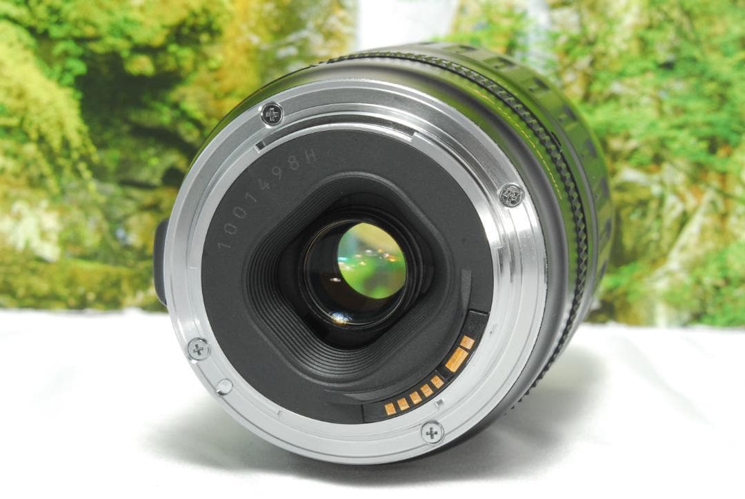 ✨月明りの暗闇でも撮影ができる✨Canon EOS 6D✨フルサイズ機✨動画OK