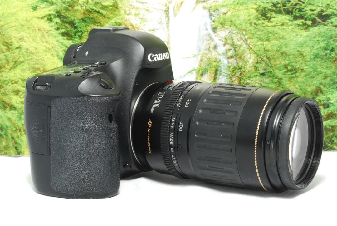 ✨月明りの暗闇でも撮影ができる✨Canon EOS 6D✨フルサイズ機✨動画OK