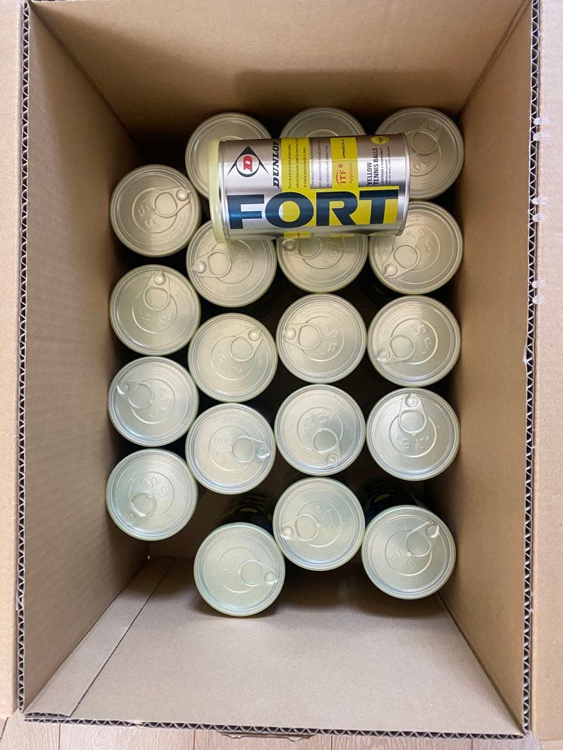 DUNLOP FORT イエローテニスボール 2個入り× 20缶