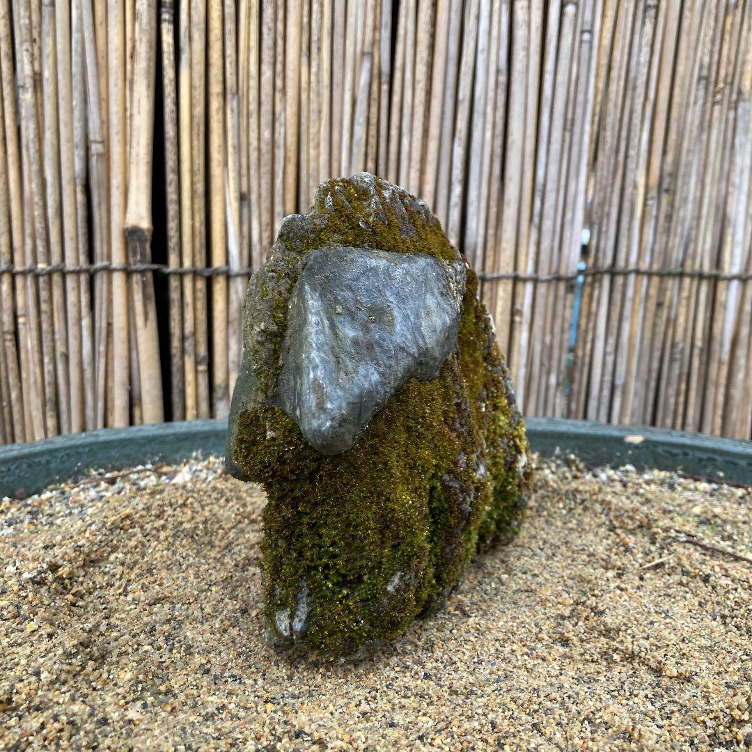 京都　貴船　糸掛石【B】