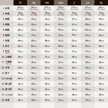 国内生産/ALL3mフルスーツ/クラッシックウェットスーツ/メンズMLサイズ