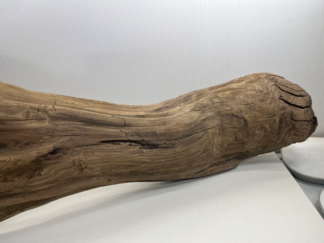 V45特大流木 アク抜き済み流木 爬虫類シェルター 登り木 インテリア 生け花