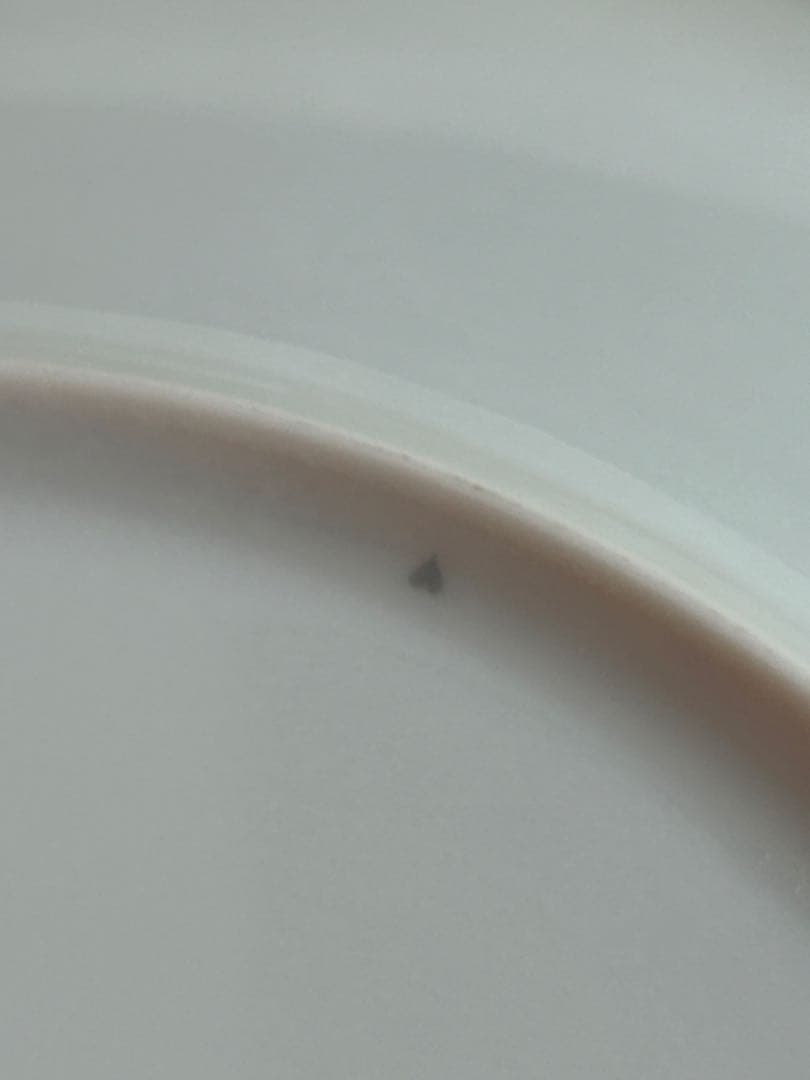 エルメス・オルキデプレート欄②・未使用品