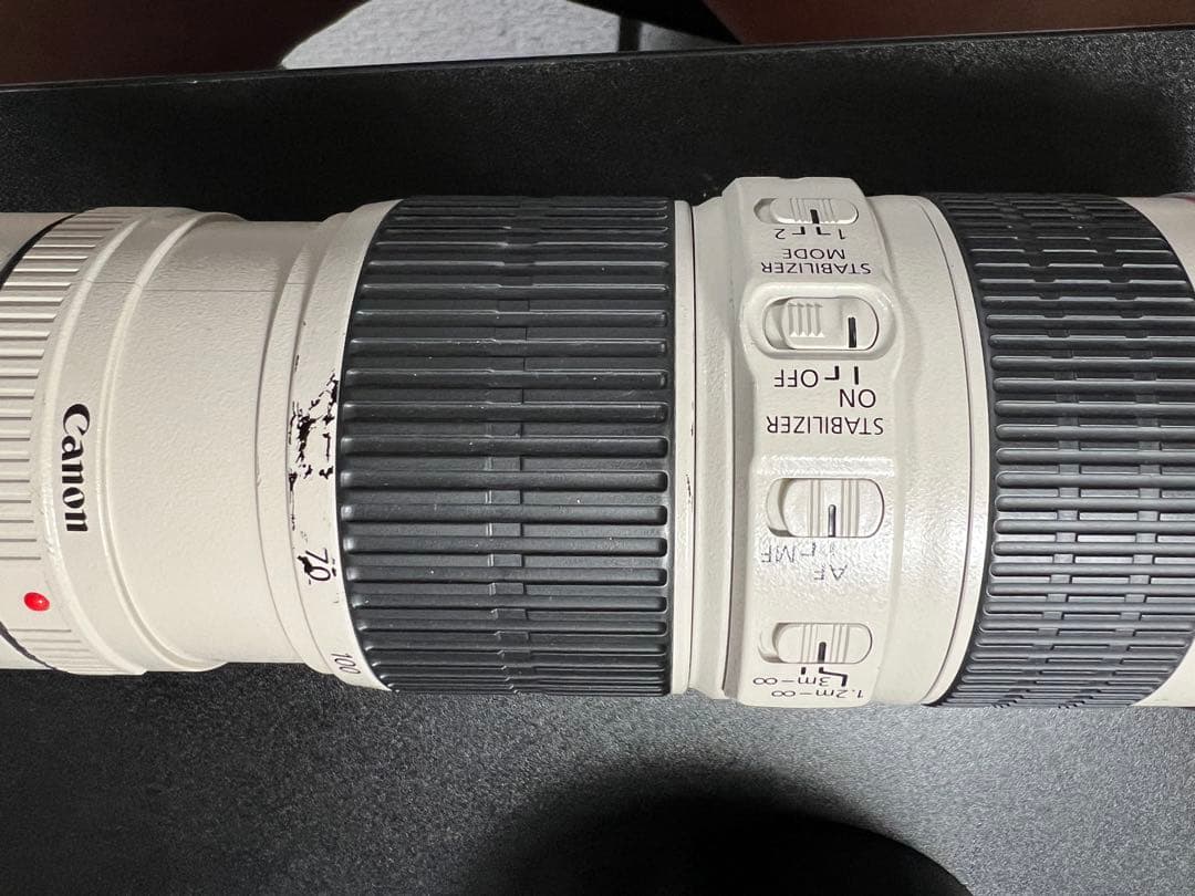 【組合せ最大400mm!】 EF 70-200mm と EXTENDER 2X