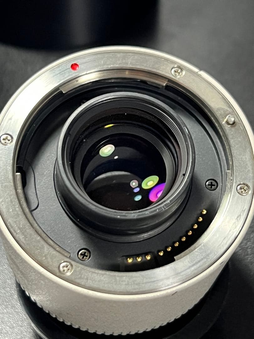 【組合せ最大400mm!】 EF 70-200mm と EXTENDER 2X