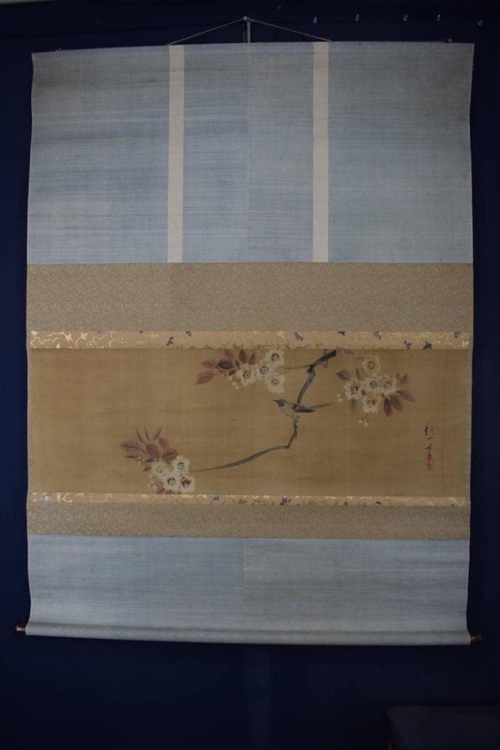 酒井抱一/山桜小禽図/桜に小鳥図/大横物/掛軸☆宝船☆Y-747　JM