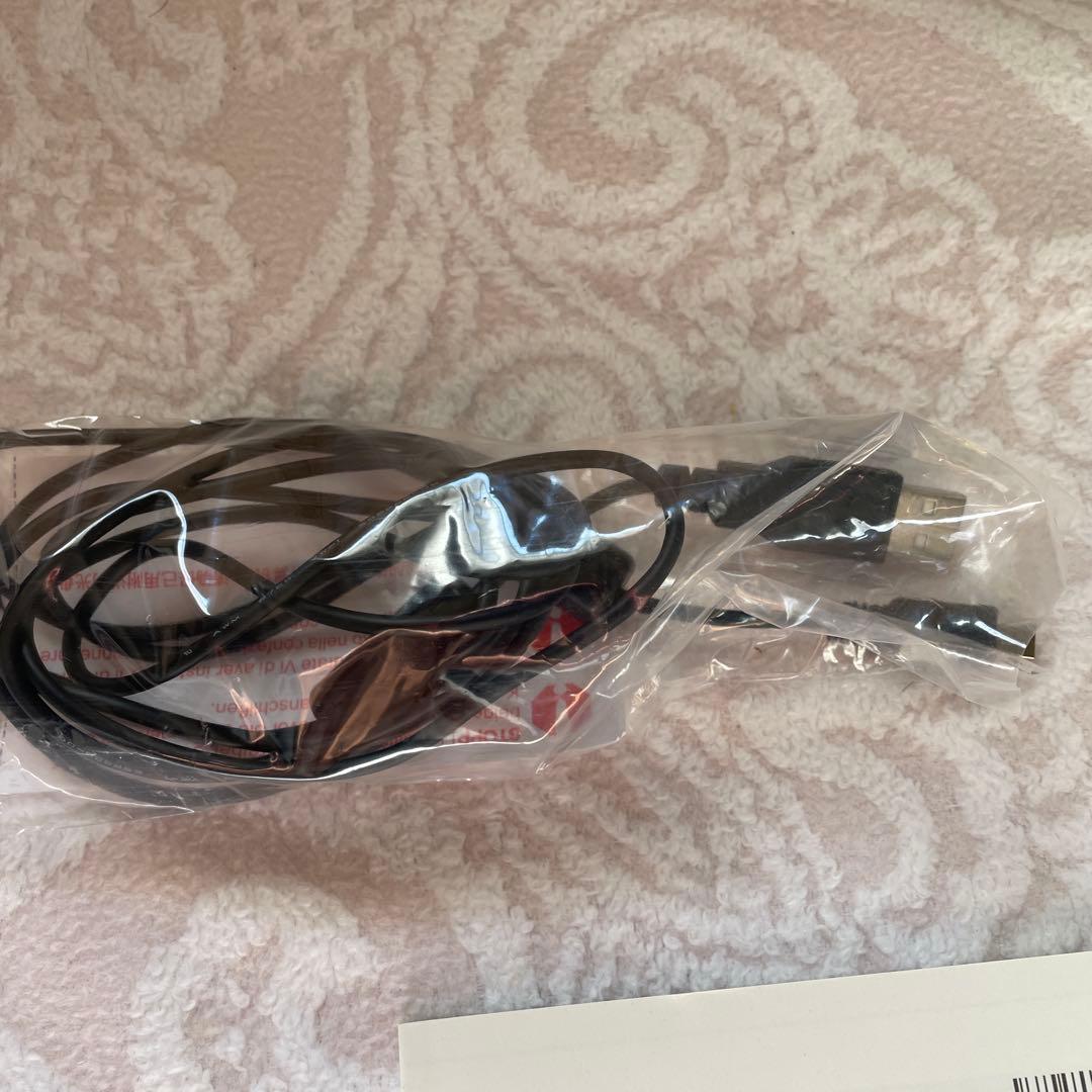 早い者勝ち　Canon IXY DIGITAL U 話題のエモい写真が撮れる