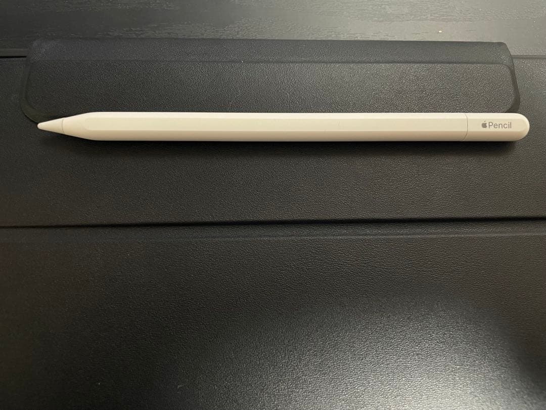 Apple Pencil USB-C アップルペンシル