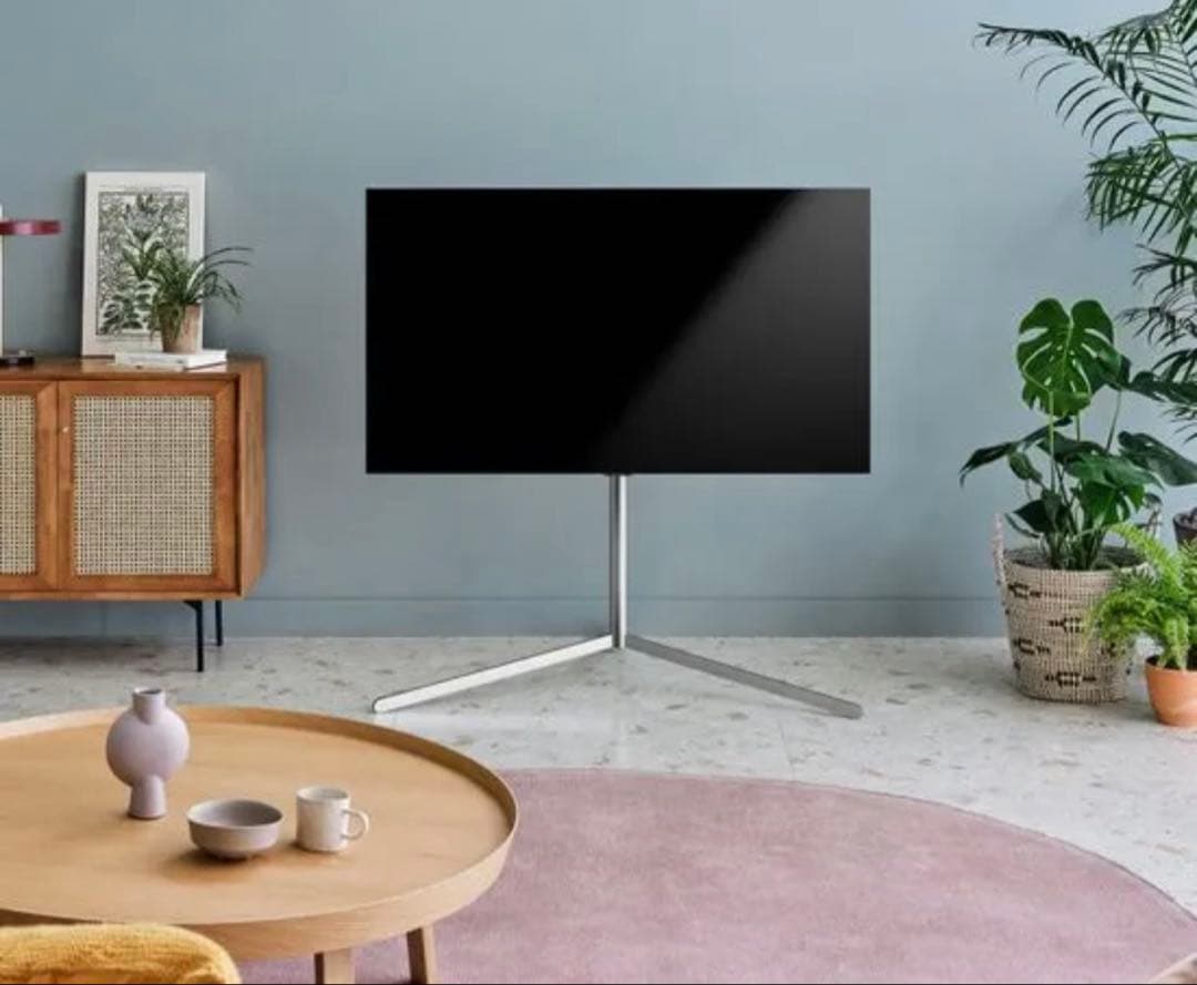 LG 有機EL テレビ 55 4K OLED55C2PJA 極美品　純正スタンド