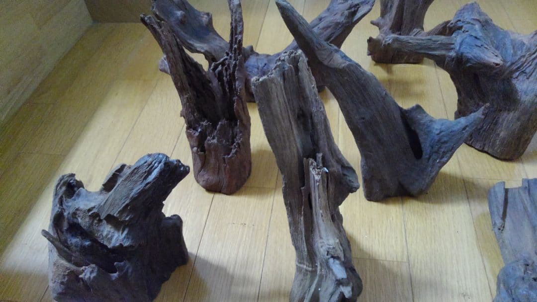 流木　10個セット　アクアリウムオブジェ
