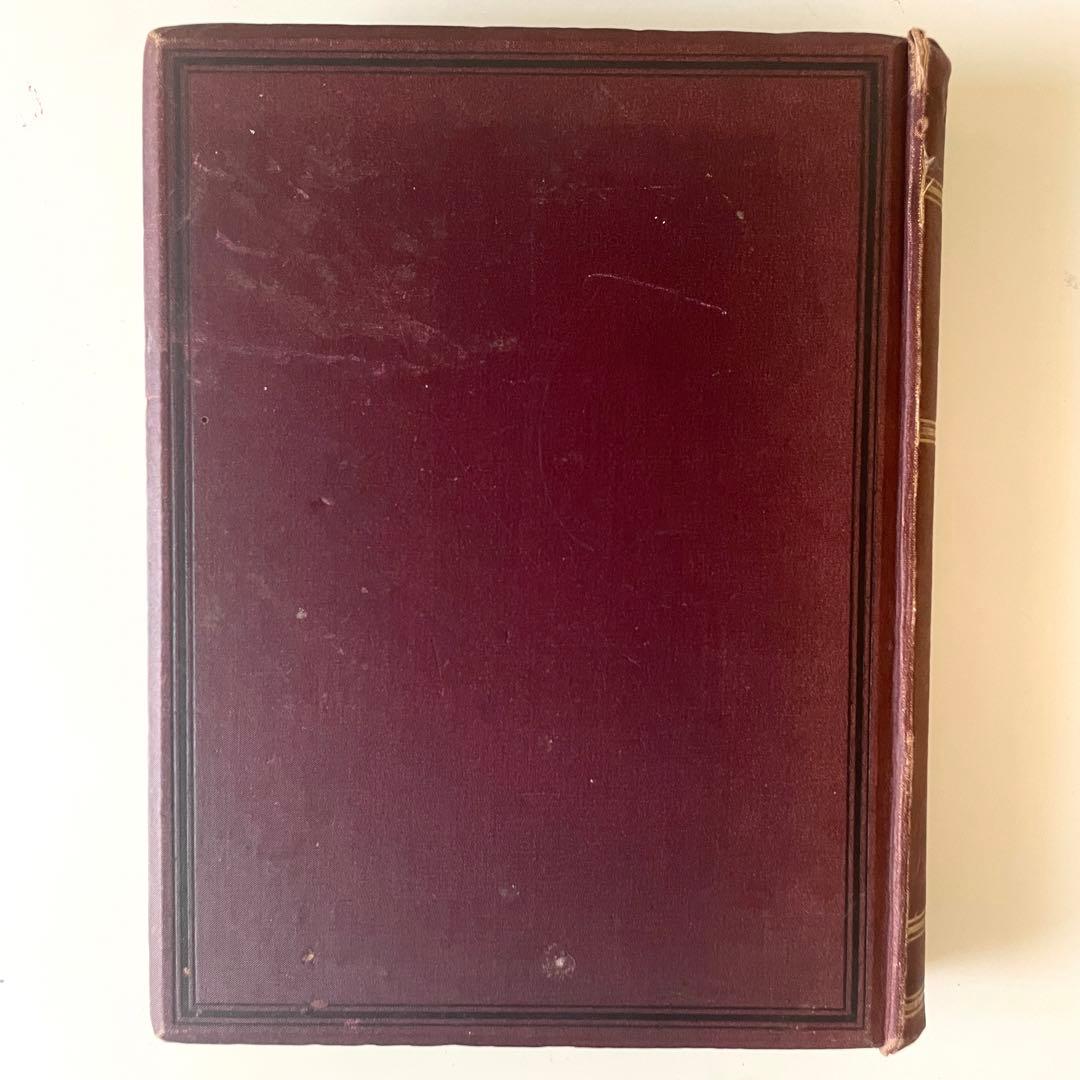 【超希少な初版！】1895年 ジョージ・モーティマ・ケルソン『サーモンフライ』