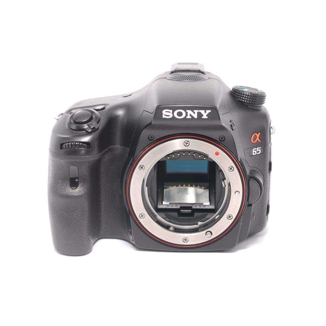 ❤即購入1000円OFF❤ ソニー α65 × 超望遠レンズ ダブルズーム