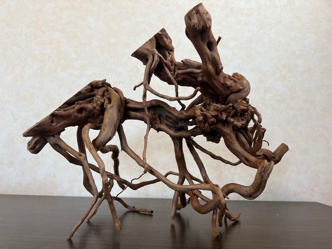 13004 ブランチウッド　流木　アクアリウム　沈水確認済