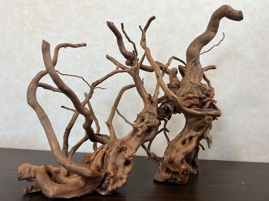 13004 ブランチウッド　流木　アクアリウム　沈水確認済